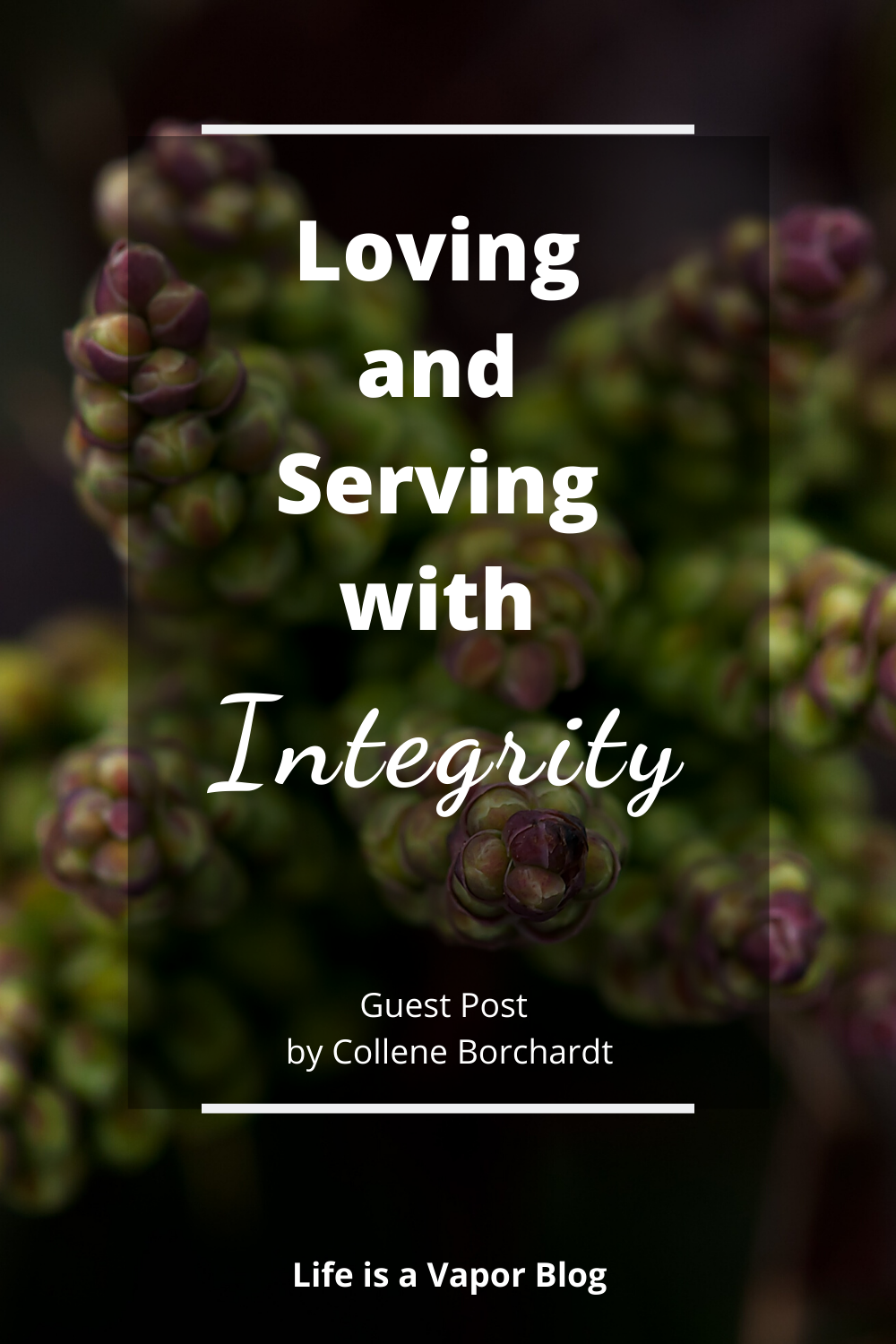 Loving and serving with integrity